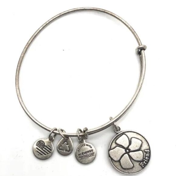 Alex and Ani FRIEND bracelet - Picture 1 of 1